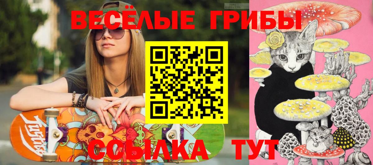 Арзамас  Галлюциногенные грибы Psilocybe  Вход с VPN 
