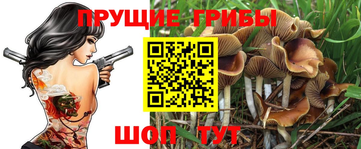 Галлюциногенные грибы мицелий Арзамас